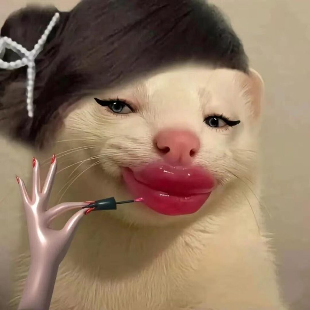 微信图片_20260225101504_1709_259