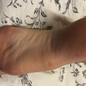 ScreenShot_2026-02-25_175216_684