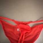 微信图片_20260210144219_535_1976