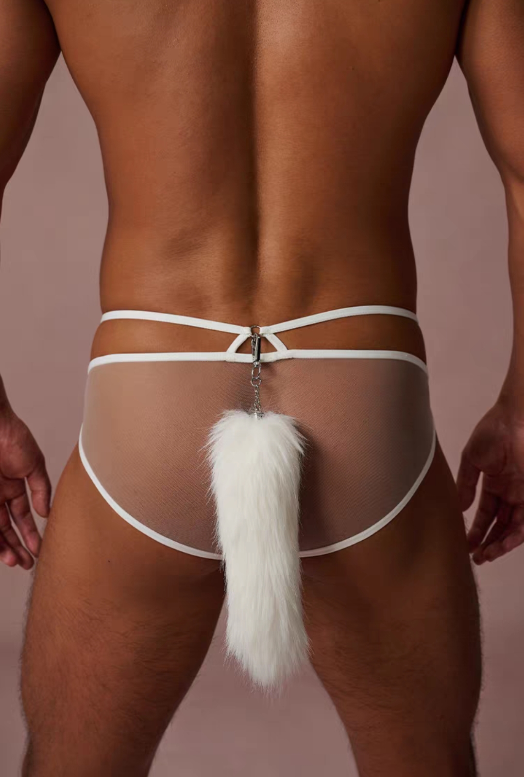 微信图片_20260210144226_545_1976 微信图片_20260210144226_545_1976