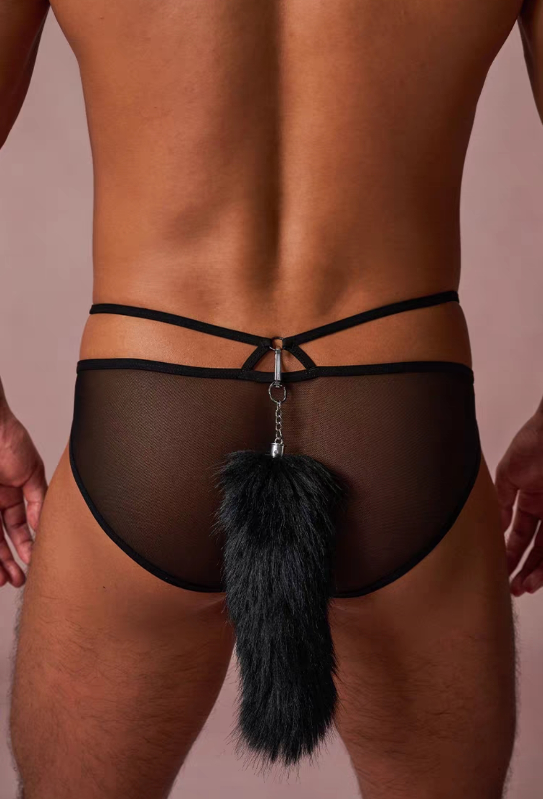 微信图片_20260210144226_546_1976 微信图片_20260210144226_546_1976