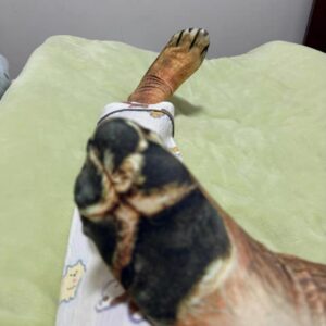 微信图片_20260212164435_571_1976 微信图片_20260212164435_571_1976