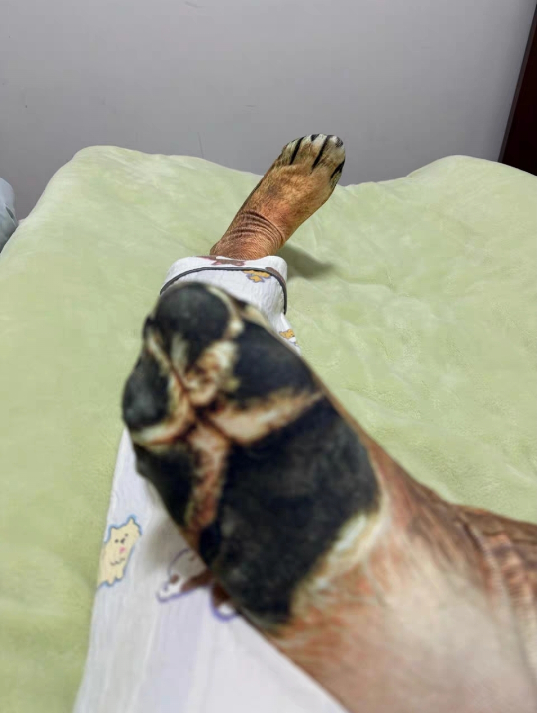 微信图片_20260212164435_571_1976 微信图片_20260212164435_571_1976