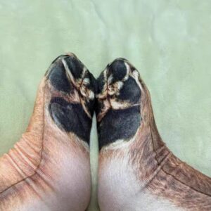 微信图片_20260212164436_572_1976 微信图片_20260212164436_572_1976