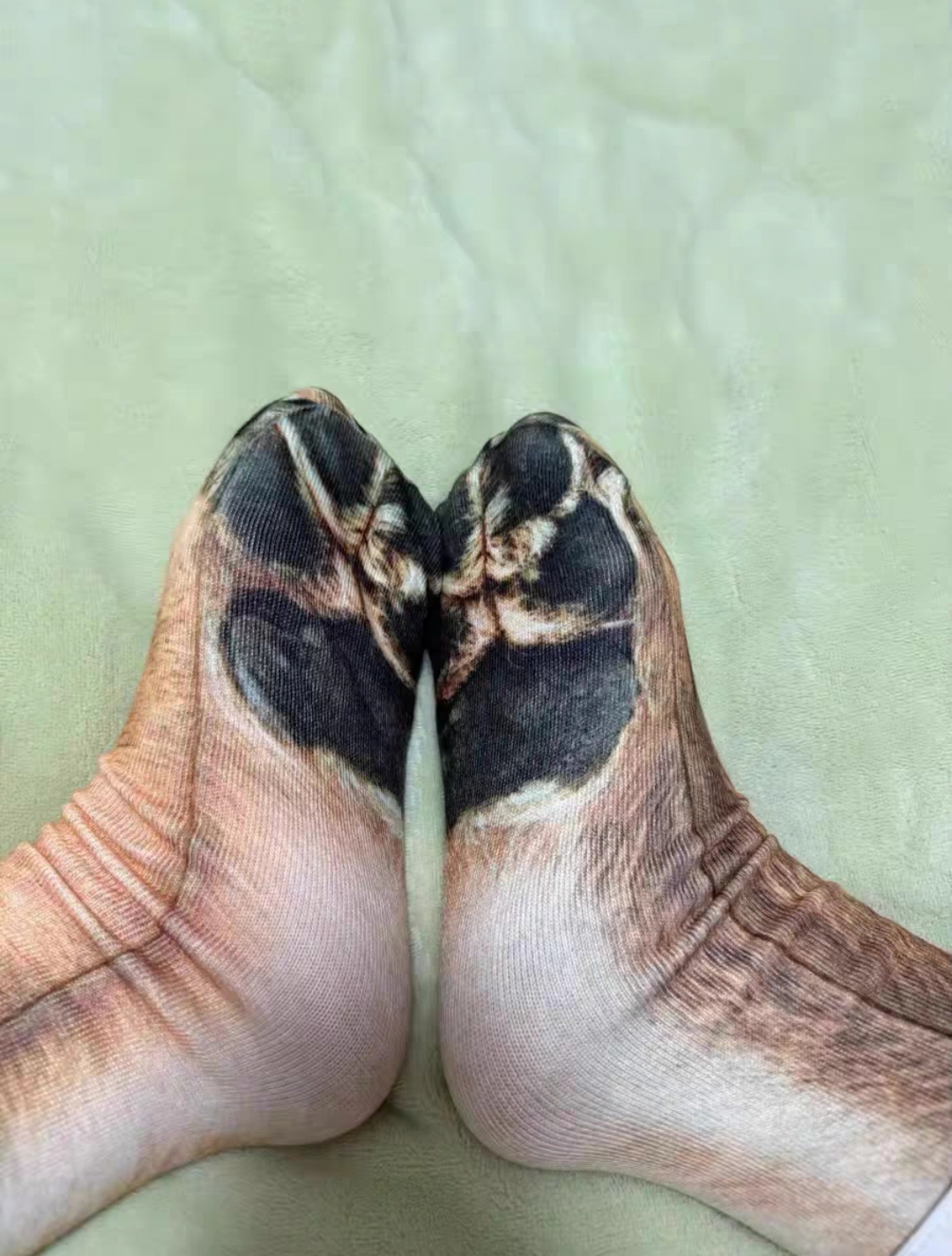 微信图片_20260212164436_572_1976 微信图片_20260212164436_572_1976