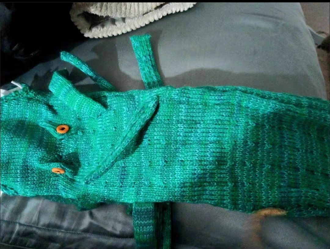 微信图片_20260212164438_575_1976 微信图片_20260212164438_575_1976