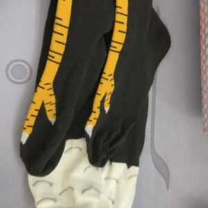 微信图片_20260212164439_576_1976 微信图片_20260212164439_576_1976