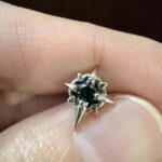 微信图片_20260304113012_919_1976