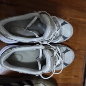 微信图片_20260304113020_928_1976 微信图片_20260304113020_928_1976