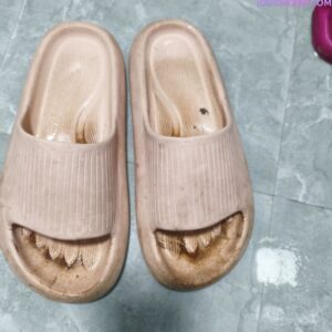 微信图片_20260305133954_974_1976 微信图片_20260305133954_974_1976