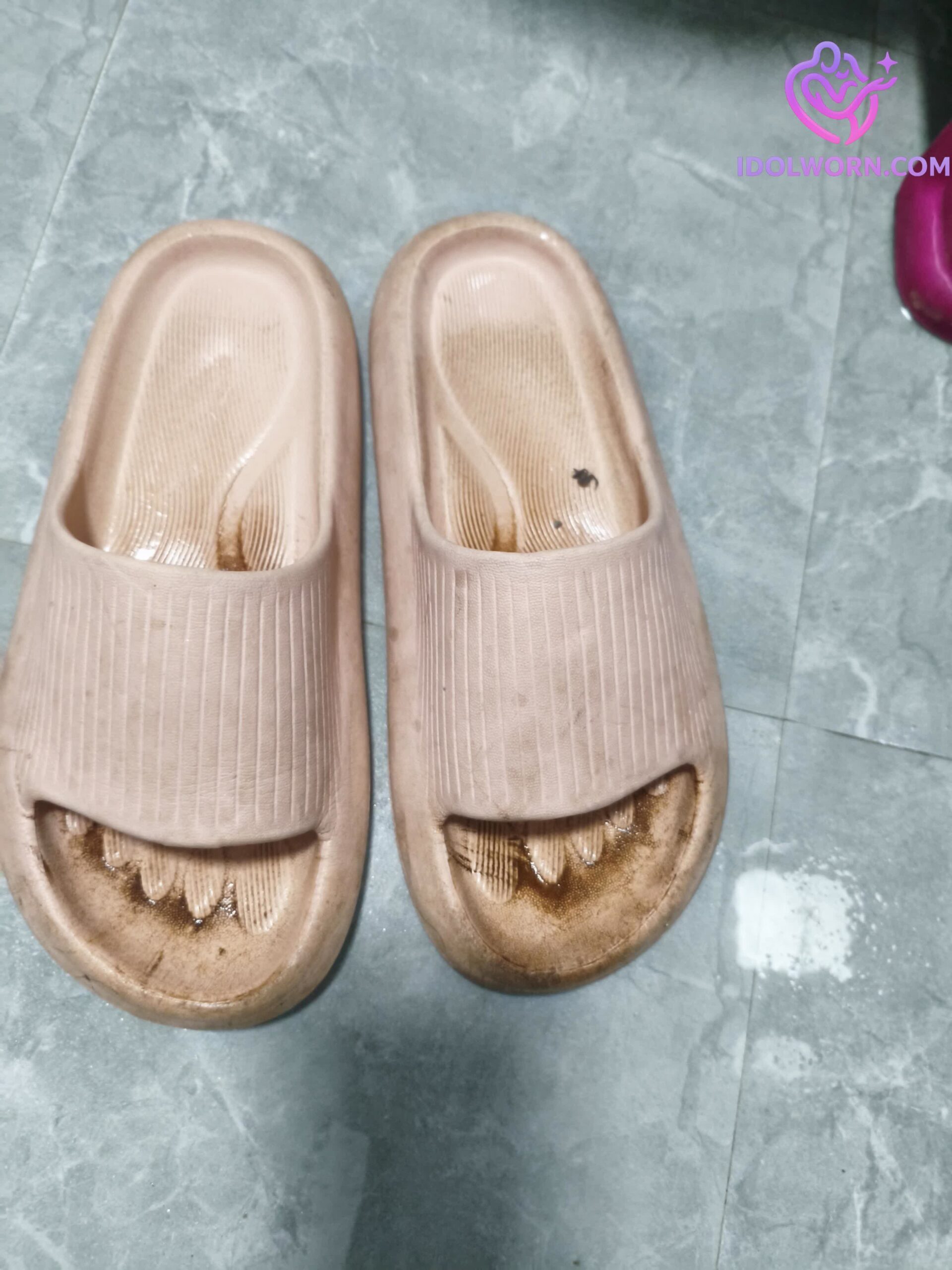 微信图片_20260305133954_974_1976 微信图片_20260305133954_974_1976