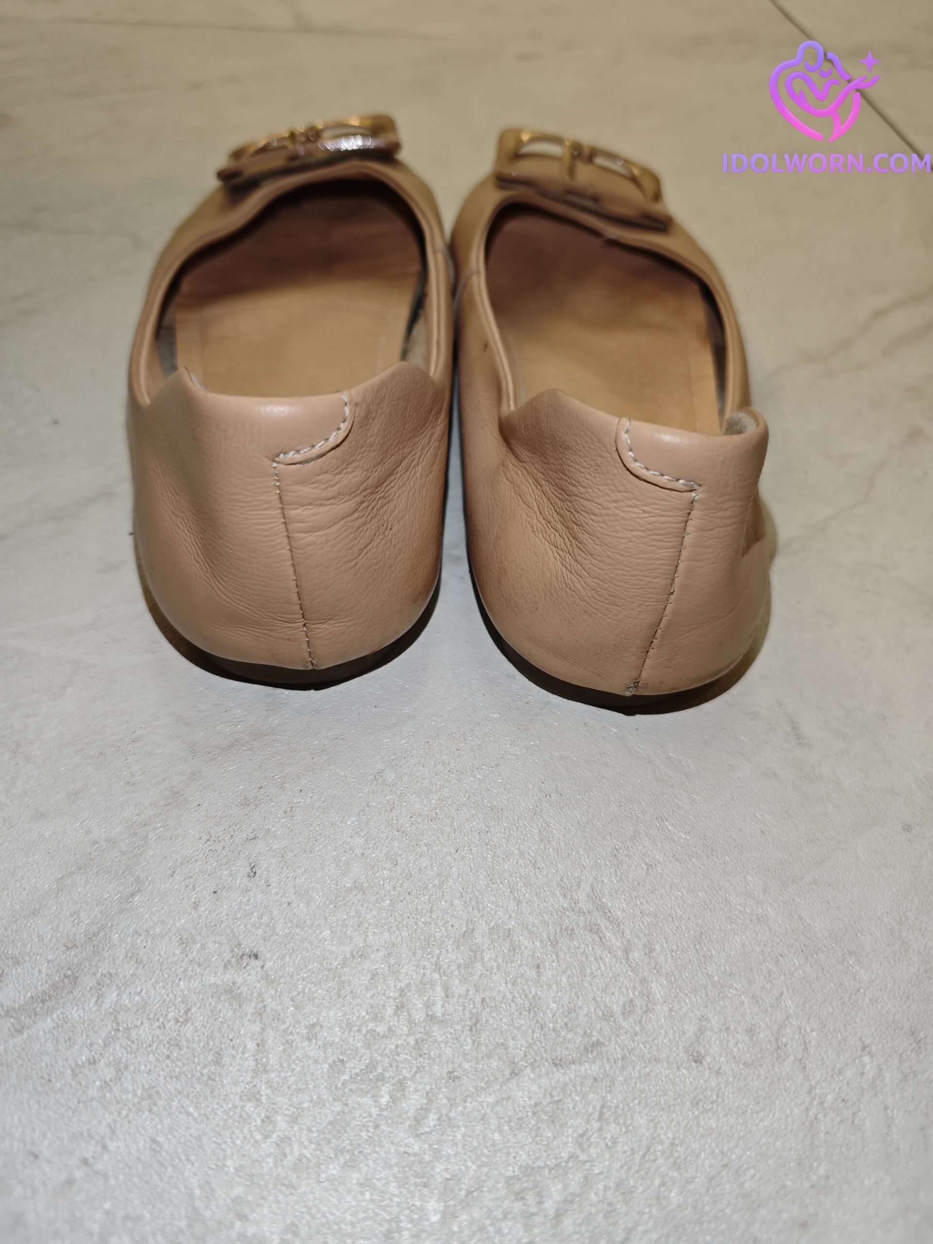 微信图片_20260305134002_983_1976 微信图片_20260305134002_983_1976