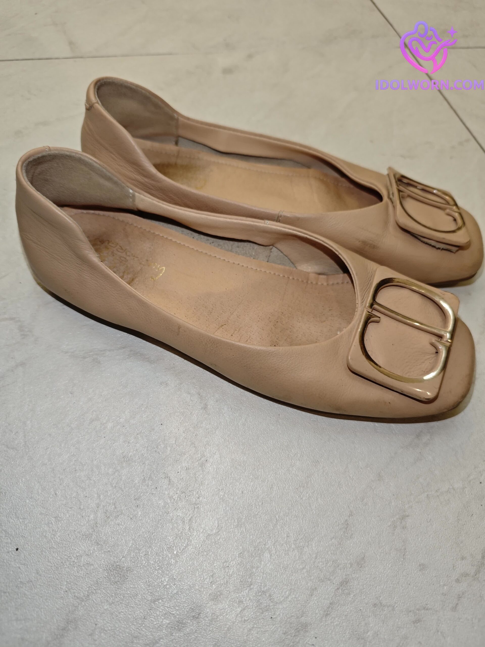 微信图片_20260305134003_984_1976 微信图片_20260305134003_984_1976