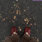 微信图片_20260305134007_988_1976