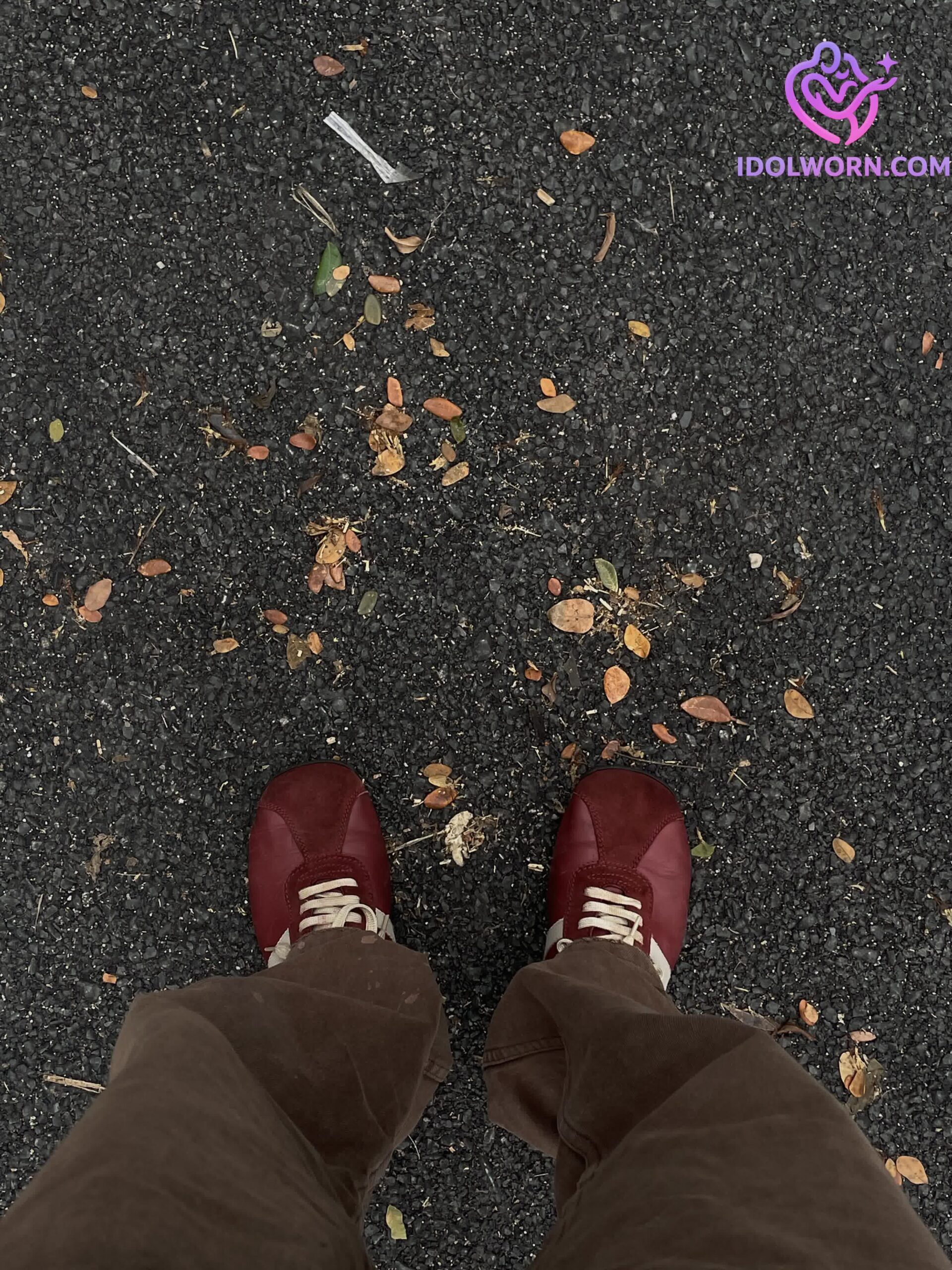 微信图片_20260305134007_988_1976 微信图片_20260305134007_988_1976