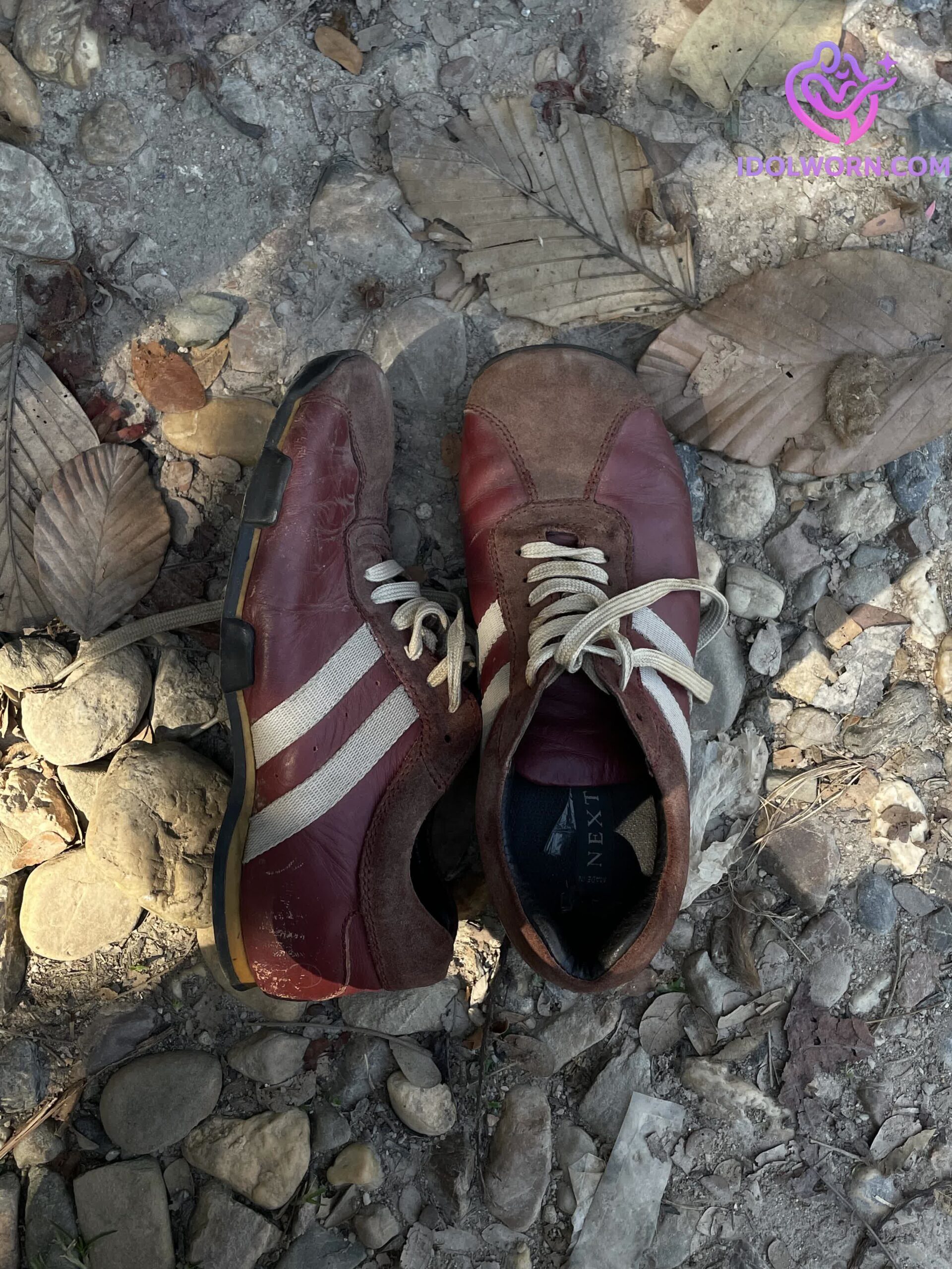 微信图片_20260305134014_993_1976 微信图片_20260305134014_993_1976