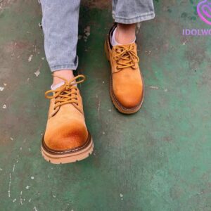 微信图片_20260305134047_1027_1976 微信图片_20260305134047_1027_1976