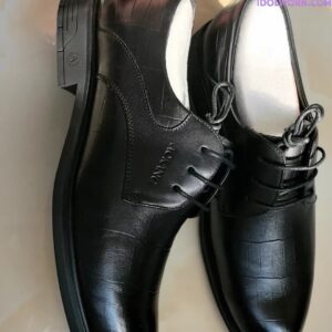 微信图片_20260305134048_1028_1976 微信图片_20260305134048_1028_1976