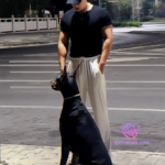 微信图片_20260330182241_1769_4(1)