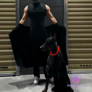 微信图片_20260330182425_1772_4(1)