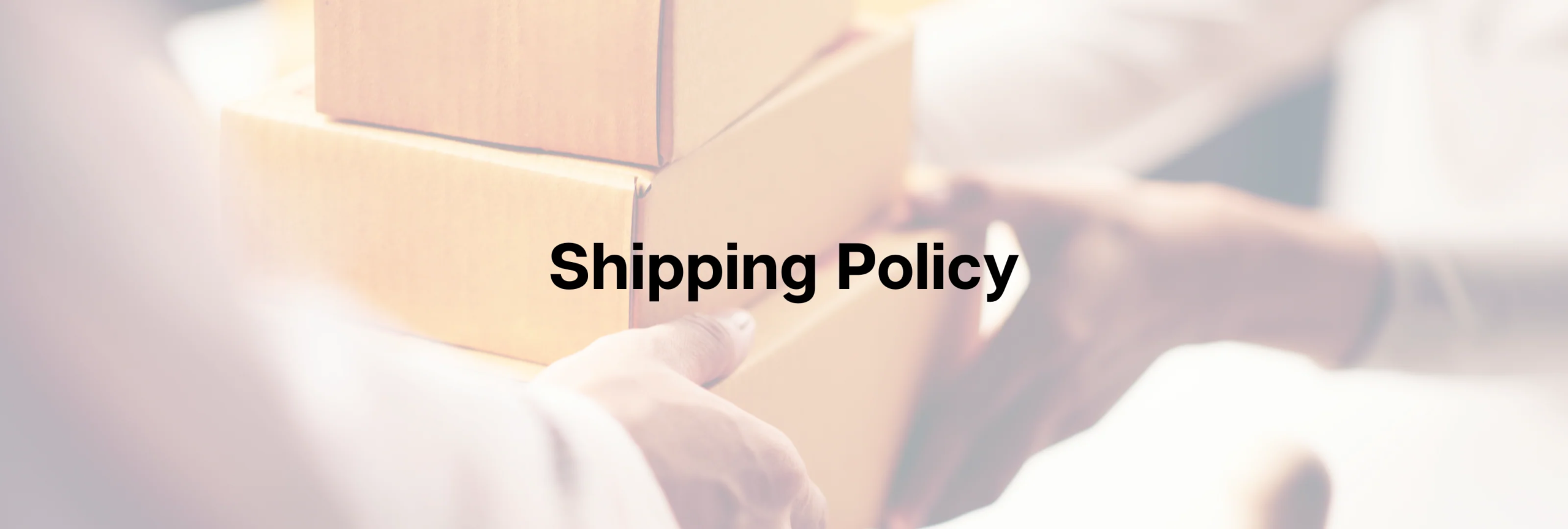 shipping policy